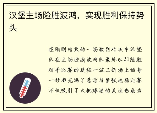 汉堡主场险胜波鸿，实现胜利保持势头