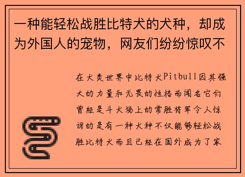 一种能轻松战胜比特犬的犬种，却成为外国人的宠物，网友们纷纷惊叹不已