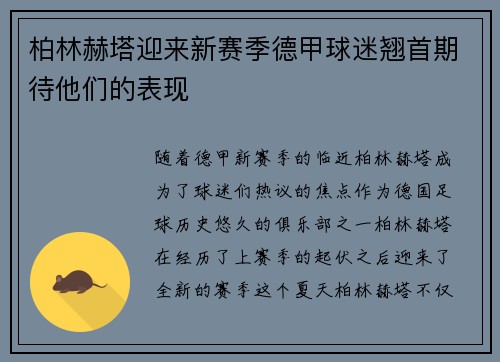 柏林赫塔迎来新赛季德甲球迷翘首期待他们的表现