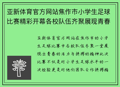 亚新体育官方网站焦作市小学生足球比赛精彩开幕各校队伍齐聚展现青春风采